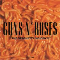 the spaghetti incident
